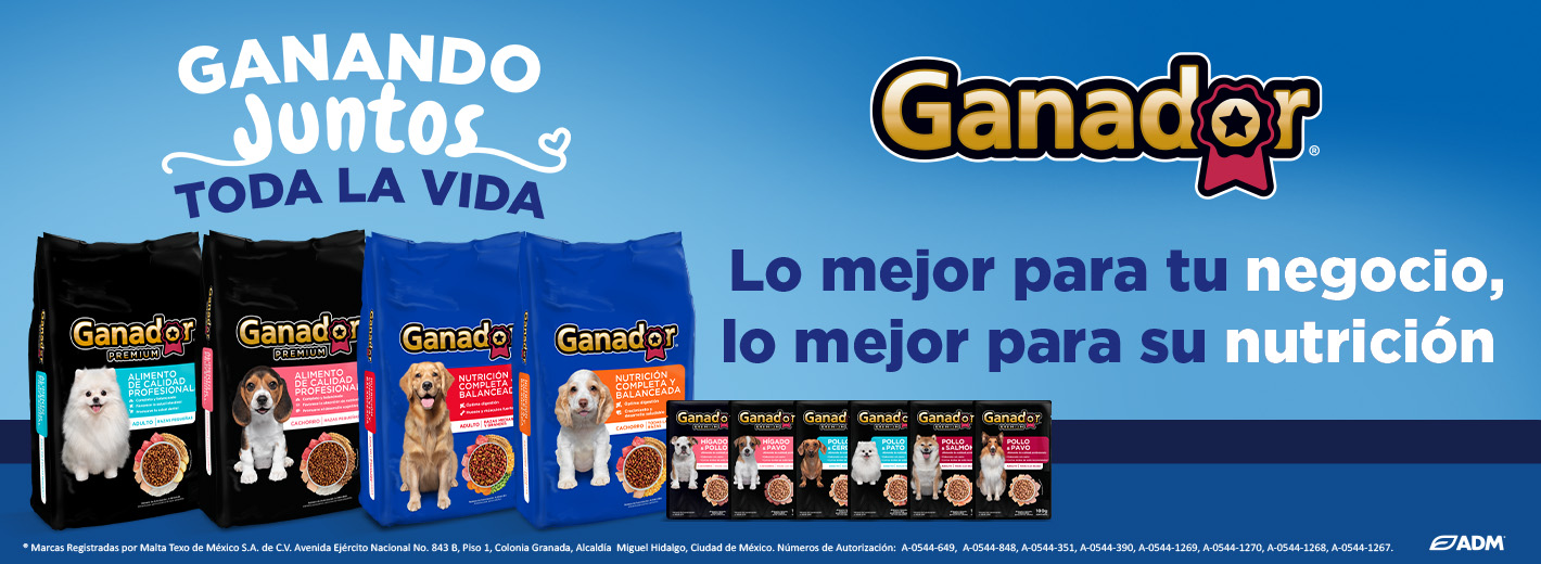 Banner 04_Mochila_Kinder